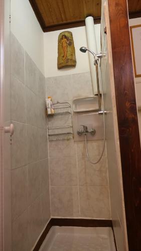 a bathroom with a shower with a toilet in it at The old olive mill house in Aegae