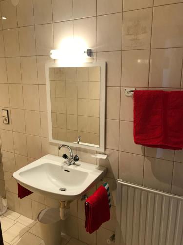 ナウダースにあるAppartment Spoettlのバスルーム(シンク、鏡、赤いタオル付)