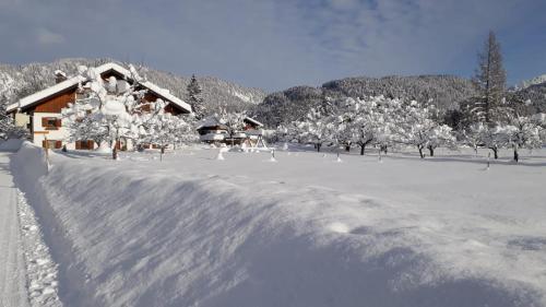 a snow covered yard with a house and trees at Haus Heiserer in Musau