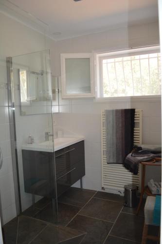 une salle de bain avec un lavabo et une douche en verre dans l'établissement Villa Valdor, à Cotignac
