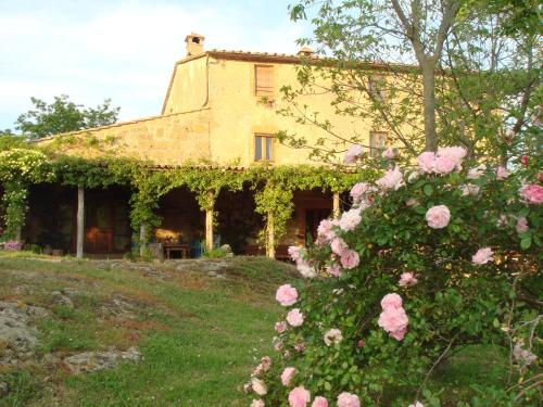 Κήπος έξω από το Agriturismo locanda settimo cielo