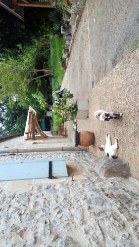 Photo de la galerie de l'établissement Gite d Espenels, à Creysse