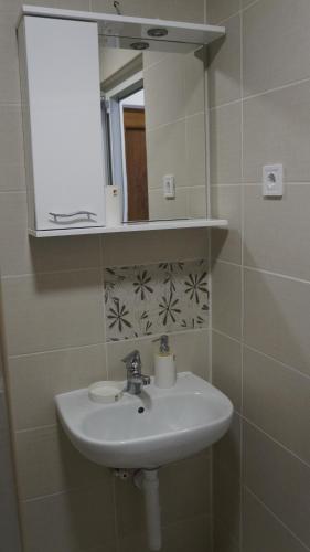 a bathroom with a sink and a mirror at Rondović Apartmani - Durmitor in Žabljak