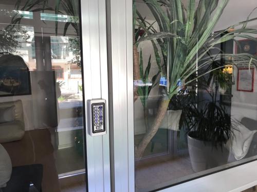a glass door with a potted plant in it at Pasithea Holiday Apartments in Larnaka