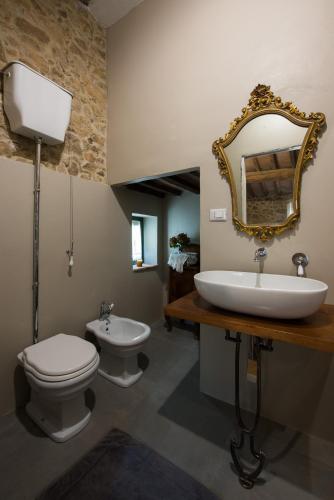 a bathroom with a sink and a toilet and a mirror at B&B Podere Camaiano in Roccastrada