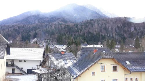 a group of houses with mountains in the background at Apartments and Rooms Banić in Kranjska Gora