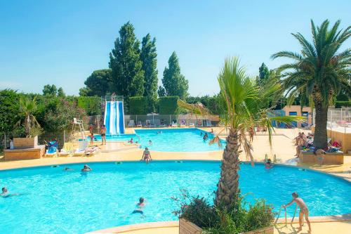 une grande piscine avec des palmiers. dans l'établissement Mobil Home Méditerranée avec terrasse, à Vic-la-Gardiole
