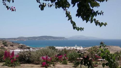 a view of the ocean from a hill with flowers at Stella's Home in Koufonisia
