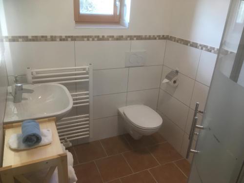 ein Badezimmer mit einem weißen WC und einem Waschbecken in der Unterkunft Zirben Troadkasten in Liebenfels