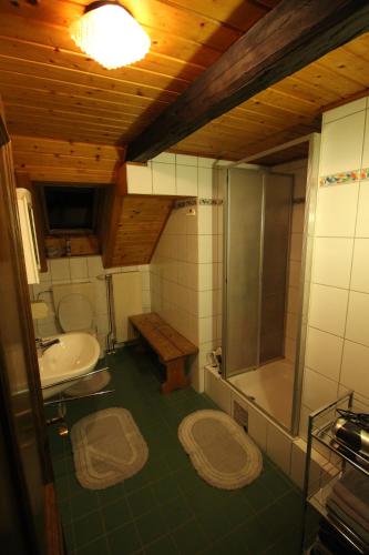 a bathroom with a shower and a sink and a toilet at Ferienwohnung Krennbauer in Öblarn