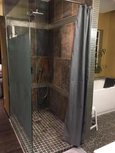 a bathroom with a shower with a glass door at La suite d'Arras in Agny