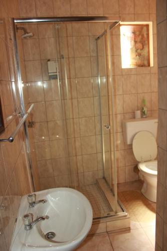 a bathroom with a shower with a sink and a toilet at Pandeinge in Windhoek