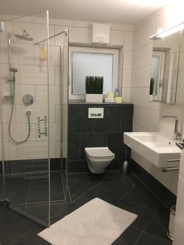 a bathroom with a toilet and a sink and a shower at Koflers Ferienwohnungen in Oberperfuss