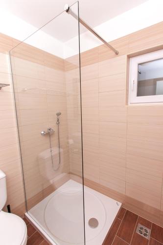 a shower with a glass door in a bathroom at Effie Perine Apartments in Bled