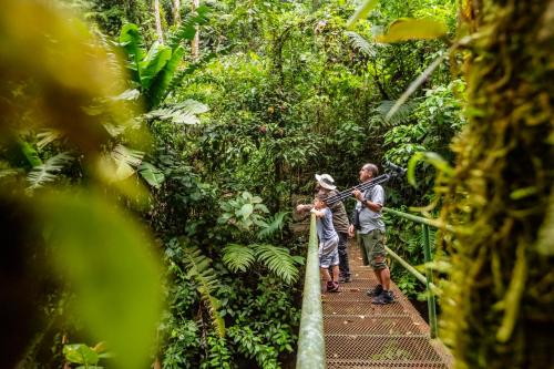 a group of people standing on a walkway in the rainforest at Lost Iguana Resort and Spa in Fortuna