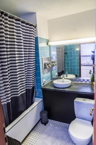 a bathroom with a toilet and a sink at FeWo Köln in Cologne