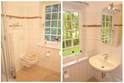 two pictures of a bathroom with a toilet and a sink at Apartment Am Mühlendeich in Vollerwiek