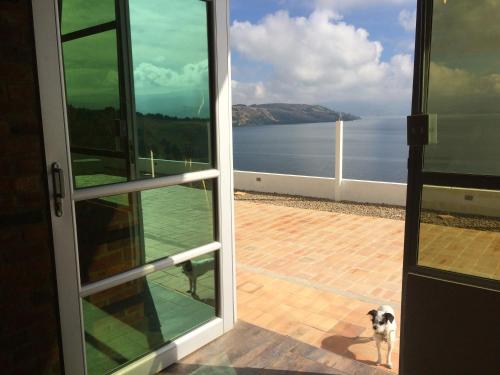 a dog standing on a porch looking out at the water at El Arca de Noah in Tota
