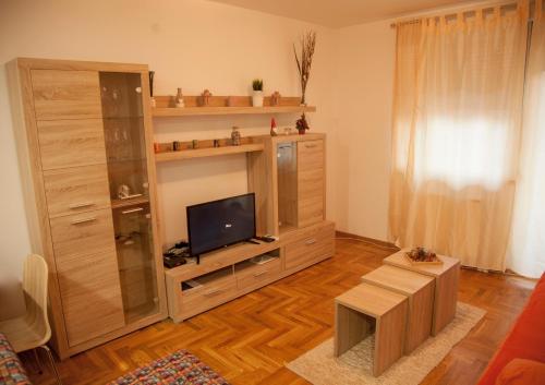 Una televisión o centro de entretenimiento en Apartment Vas Raj