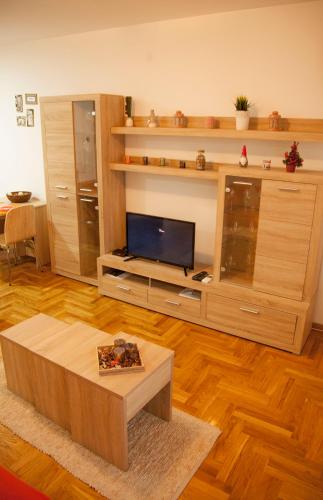 Una televisión o centro de entretenimiento en Apartment Vas Raj