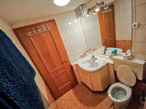 La salle de bains est pourvue de toilettes, d'un lavabo et d'une douche. dans l'établissement Apartment Alpine Lake, à Bled