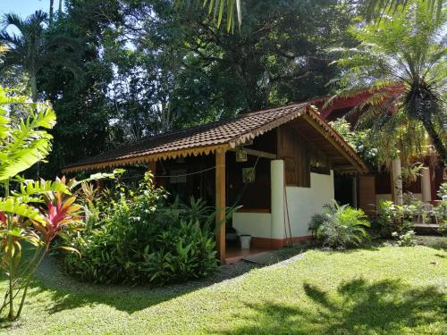 a small house in a garden with trees and grass at Chalet Y Cabinas Hibiscus in Cahuita