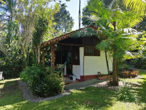 a rental house with a hammock in the yard at Chalet Y Cabinas Hibiscus in Cahuita