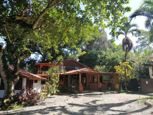 a house with a palm tree in front of it at Chalet Y Cabinas Hibiscus in Cahuita
