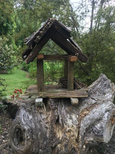 a bird house sitting on top of a tree stump at Kerikeri Garden Homestead in Kerikeri