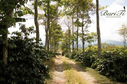 a dirt road through a forest with trees at Buriti EcoH RNT56521, via Termales Santa Rosa de Cabal in Santa Rosa de Cabal