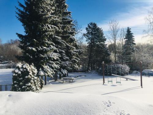 a park covered in snow with a bench and trees at Pension Žacléřský Medvěd in Žacléř