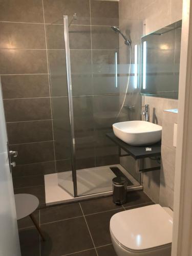 a bathroom with a shower and a sink and a toilet at Hôtel Saint Philibert in Tournus