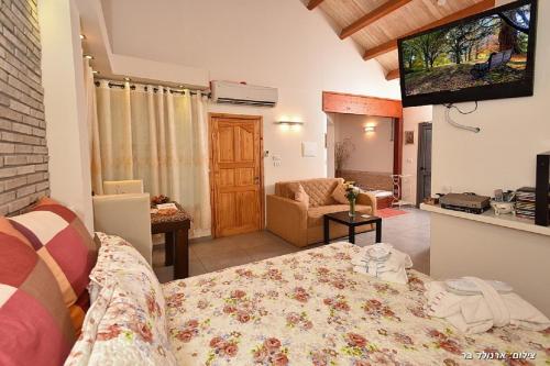 Gallery image of Hahar Aatzil in H̱azon