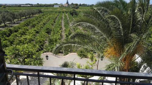 an aerial view of a palm tree plantation at Residenza al Gelso in Marsala
