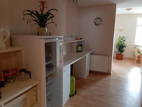 A kitchen or kitchenette at Pension Lehmann