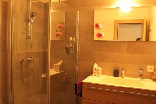 ein Bad mit einer Dusche, einem Waschbecken und einem Spiegel in der Unterkunft MT's Cosy Place in Dino