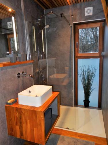 a bathroom with a sink and a shower at La mignonne des fagnes in Malmedy