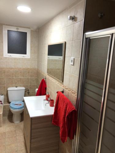 マラガにあるMª Doloresのバスルーム(洗面台、トイレ、シャワー付)