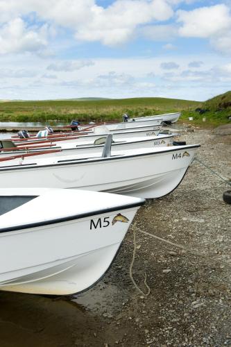 a row of white boats sitting on the shore at Merkister Hotel in Harray