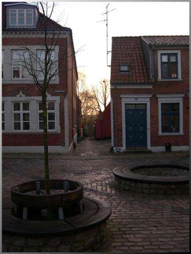 a tree in a pot in front of two buildings at Klosterpensionen in Viborg