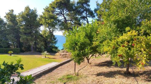 Φυσικό τοπίο κοντά σε αυτή η βίλα