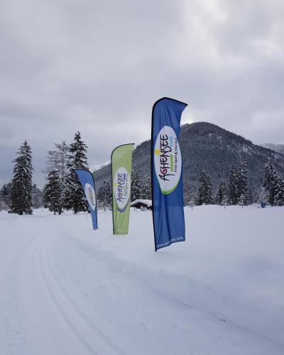 a row of flags in the snow in a field at Haus Miksch in Pertisau