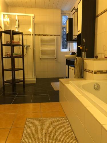 ein Bad mit einer Badewanne, einem Waschbecken und einer Dusche in der Unterkunft Ferienwohnung am Leimsiederturm in Mühlhausen