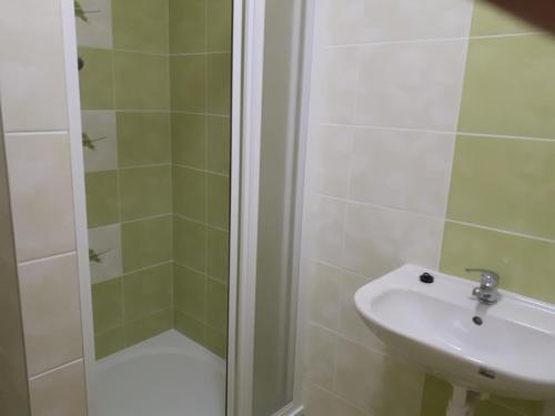 a bathroom with a shower and a sink at Buchtův statek in VendolÃ­