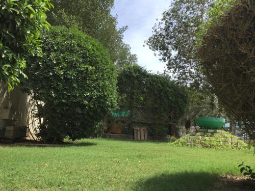 a yard with trees and a green lawn at Hotel Al Madinah Holiday in Muscat