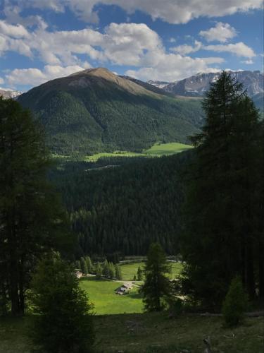 a view of a green valley with a mountain at Chesa Piz d'Esan in S-chanf