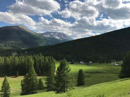 a green field with trees and mountains in the background at Chesa Piz d'Esan in S-chanf
