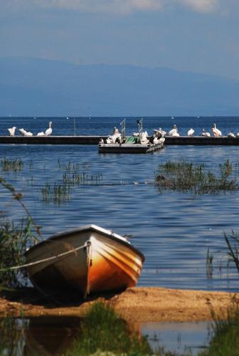 a boat sitting on the shore of a lake with birds at Varnous Hotel in Agios Germanos