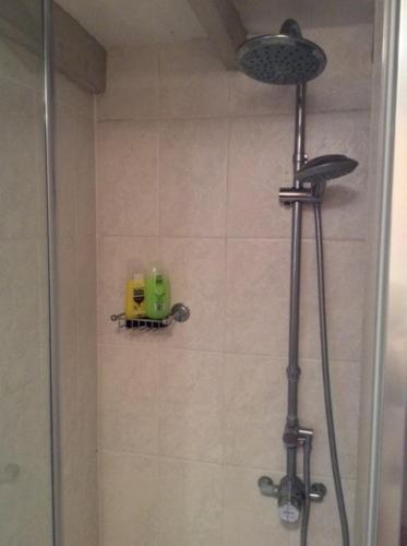 a shower with a shower head and a shower at Wheelwrights in Abbotsbury