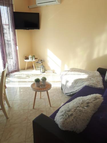 Televízia a/alebo spoločenská miestnosť v ubytovaní Apartman eva